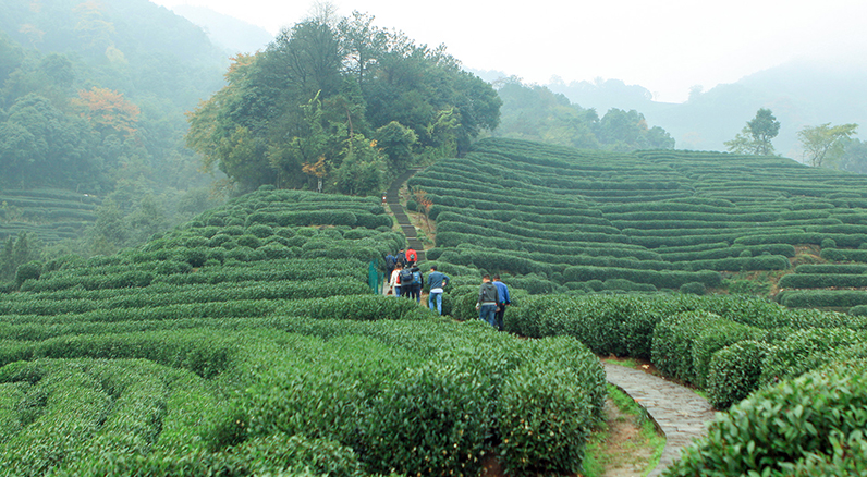 1543212627956013PVoh.jpg 51.jpg