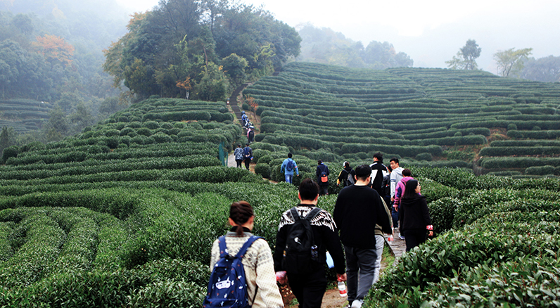 1543212653690506VtuO.jpg 52.jpg