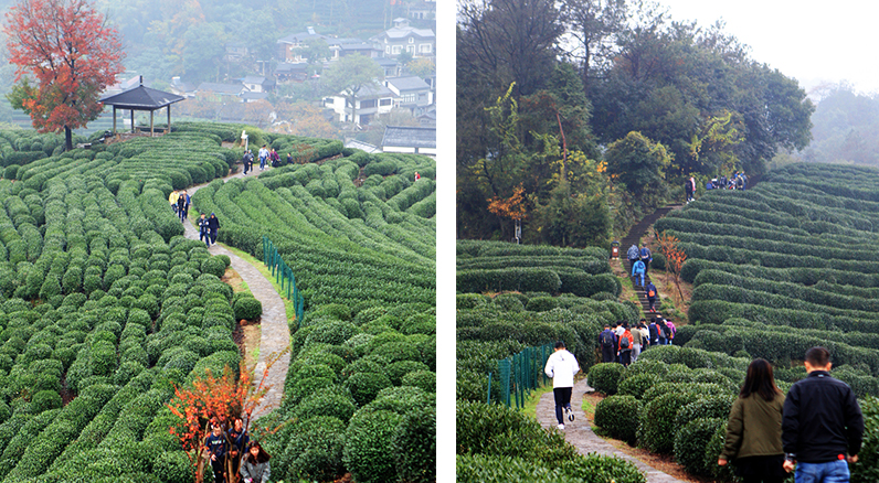 1543212757653225noK1.jpg 53.jpg