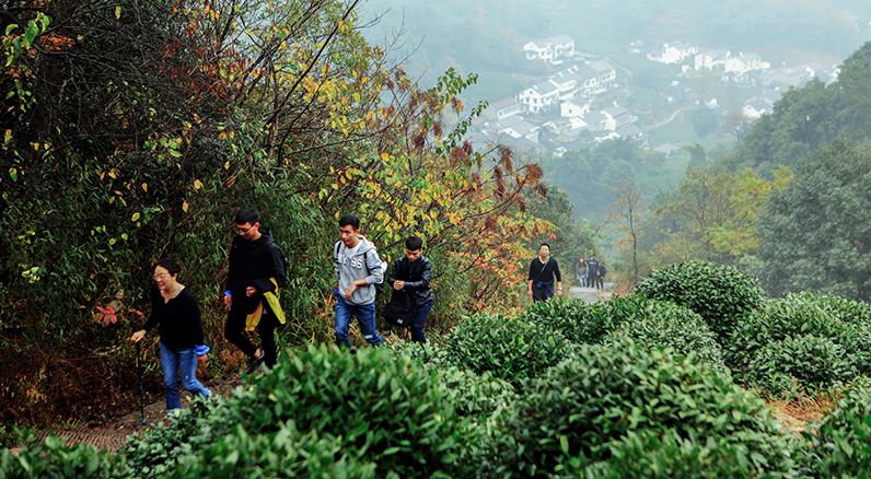 1543212966489121XOxH.jpg 55.jpg