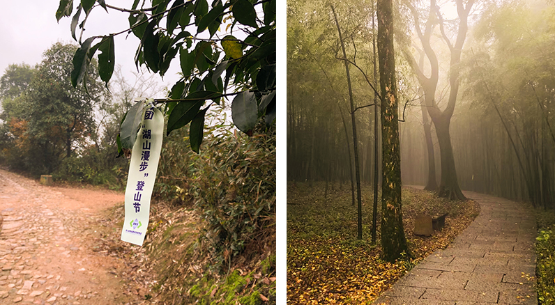 1543213214427907YbPL.jpg 58.jpg