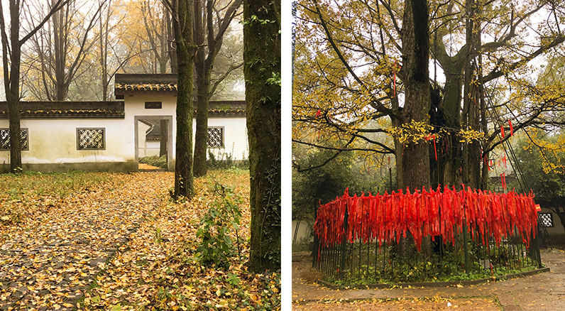 1543213315655389mWl9.jpg 59.jpg