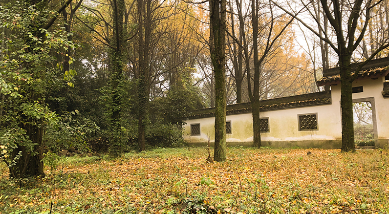 1543213372696726ffEC.jpg 60.jpg