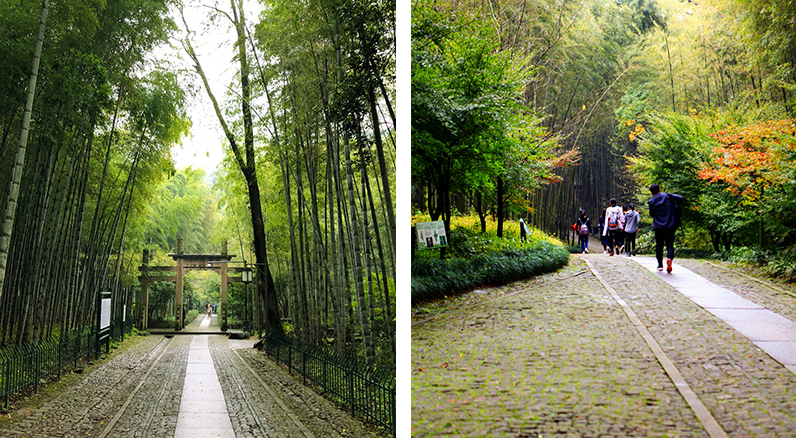 1543213565417185knA3.jpg 63.jpg