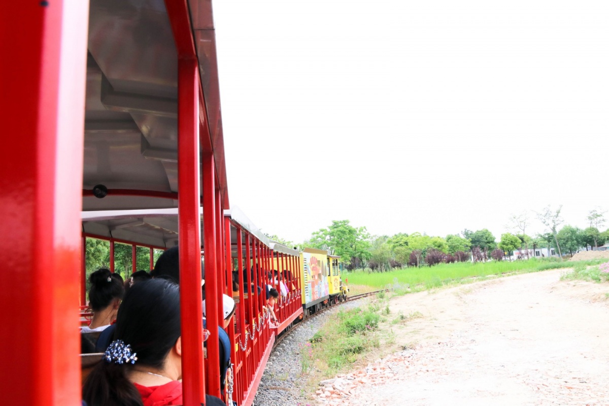 IMG_7877.jpg IMG_7877.jpg